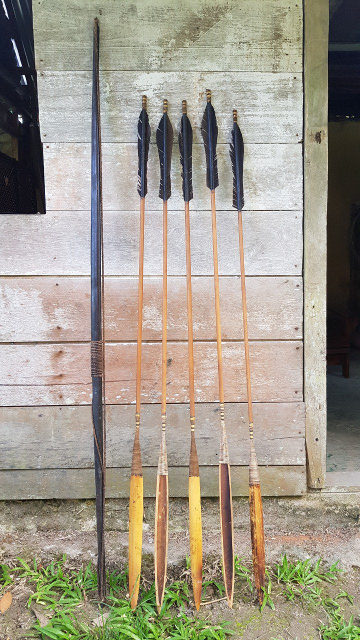 Indigenous Matis Bow and Arrows - Magic Reggie Botanicals