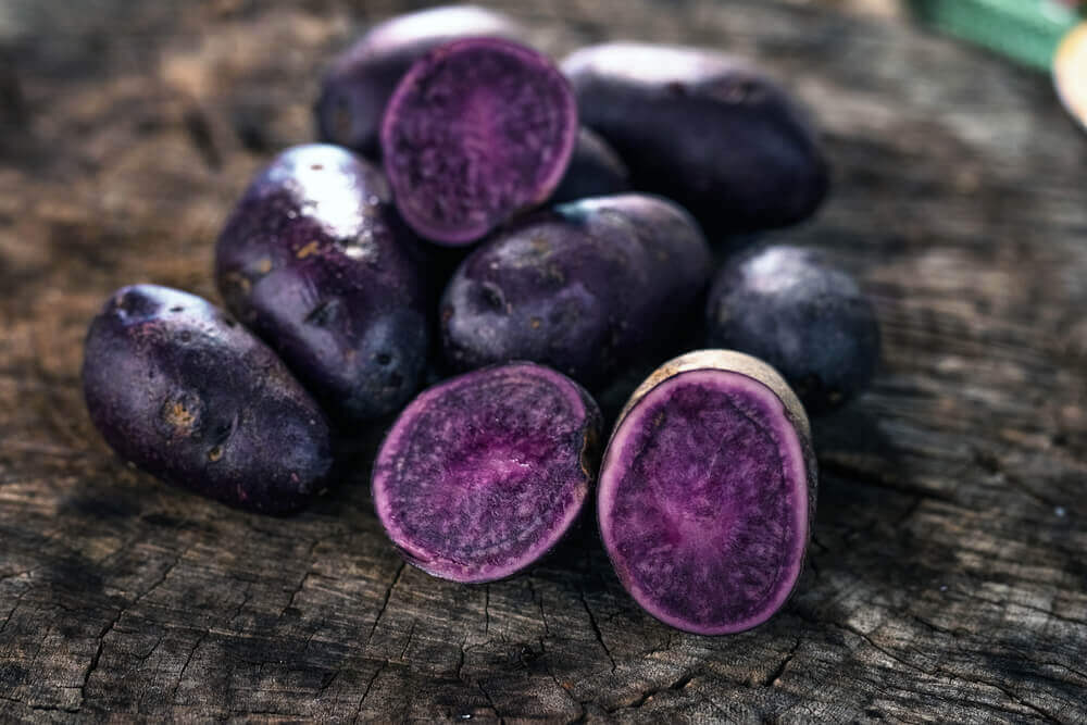 Sacha Papa Morada - Magic Reggie Botanicals