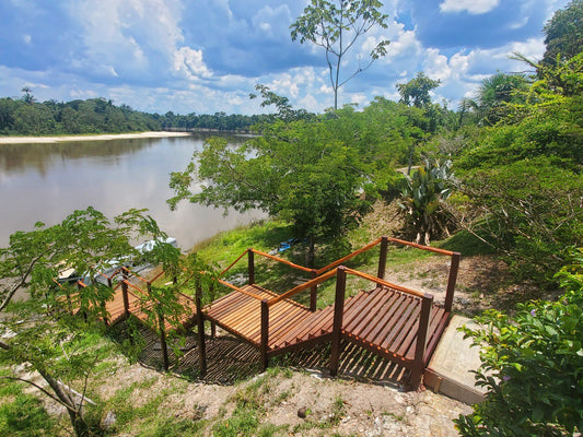 Sananga (Tabernaemontana undulata)