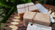 Rainforest Soaps